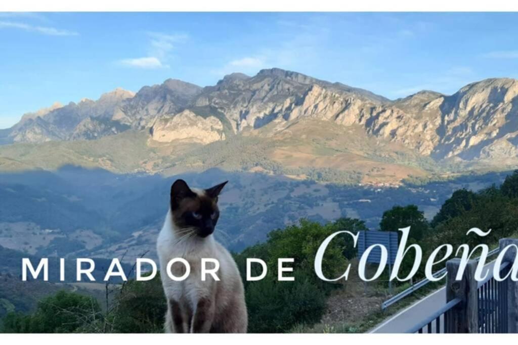 El Mirador De Cobena Ii. Aires De Liebana En Picos 아파트 외부 사진