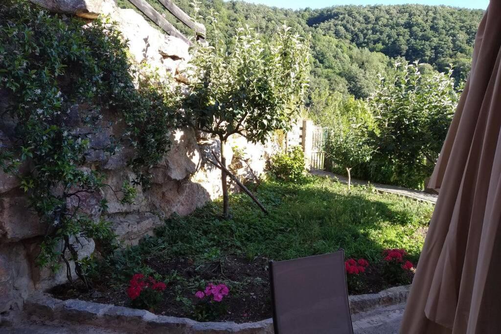 El Mirador De Cobena Ii. Aires De Liebana En Picos 아파트 외부 사진